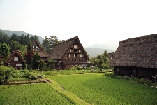 20070707shirakawagou.jpg