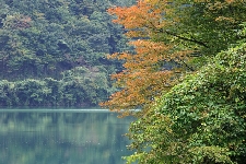 20041023okutama.jpg