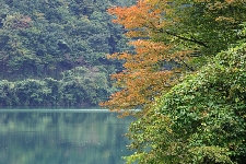 20041023okutama.jpg