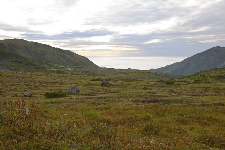 20070923tateyama-sansou-asa.jpg