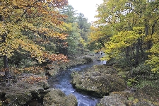 20081005okunikko-kawa2.jpg