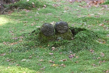 20071124sanzenin-jizo.jpg