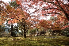 20071118kyoto-takao2.jpg