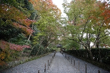 20071117kyoto01.jpg