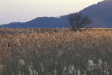 20021215nishiko.jpg