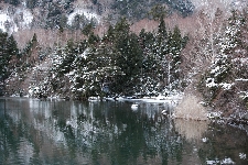 20071215yunoko.jpg