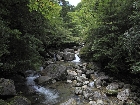 20100720kawa.jpg