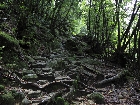 20100721mononoke004.jpg