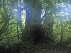 20100721mononoke013.jpg