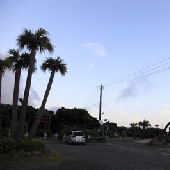 20100718yakushima-kyanpu.jpg