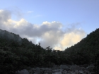 20100720yakusugi-asa.jpg