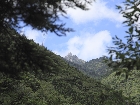 20100720totoro-ougidake.jpg